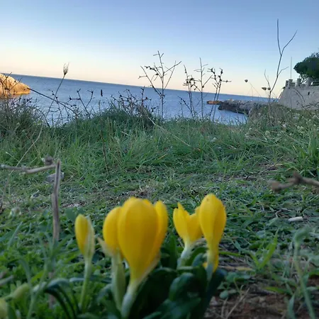 Daire Il Cappero, Sul Mare *