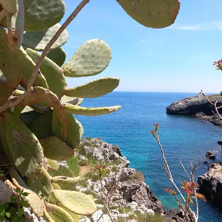 Apartamento Il Cappero, Sul Mare *