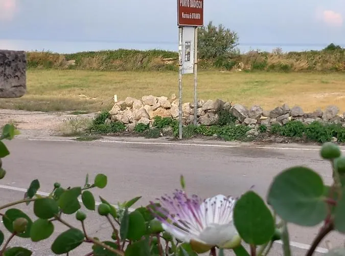 דירה Il Cappero, Sul Mare *