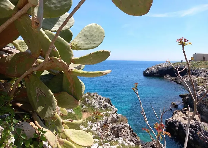 דירה Il Cappero, Sul Mare *
